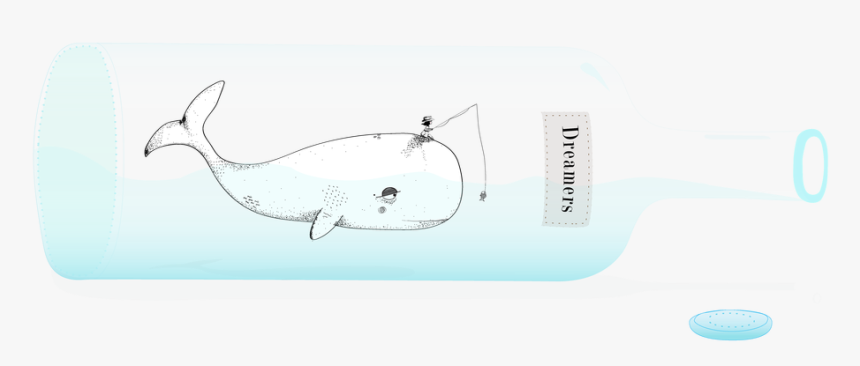 Transparent Killer Whale Png - Whale, Png Download, Free Download