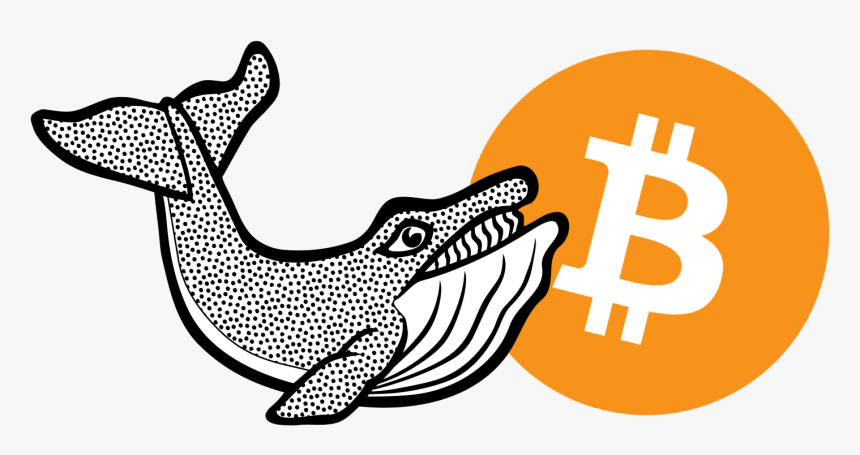 Whale - Bitcoin, HD Png Download, Free Download