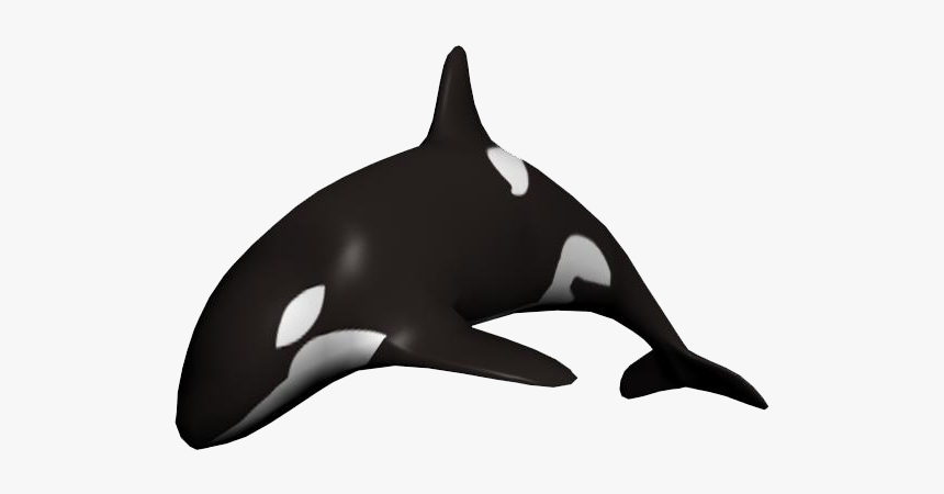 Whale Png Free Image Download - Killer Whale White Background, Transparent Png, Free Download