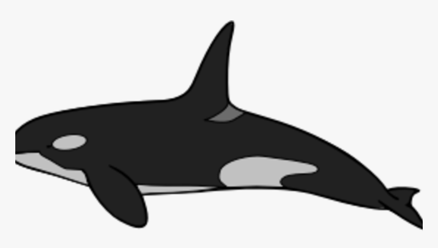 Frightening Shamu Clipart Whale Coloring Book Killer - Killer Whale, HD Png Download, Free Download