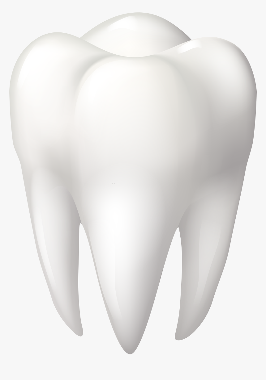 Tooth Molar Png Clip Art - Molar Clipart, Transparent Png, Free Download