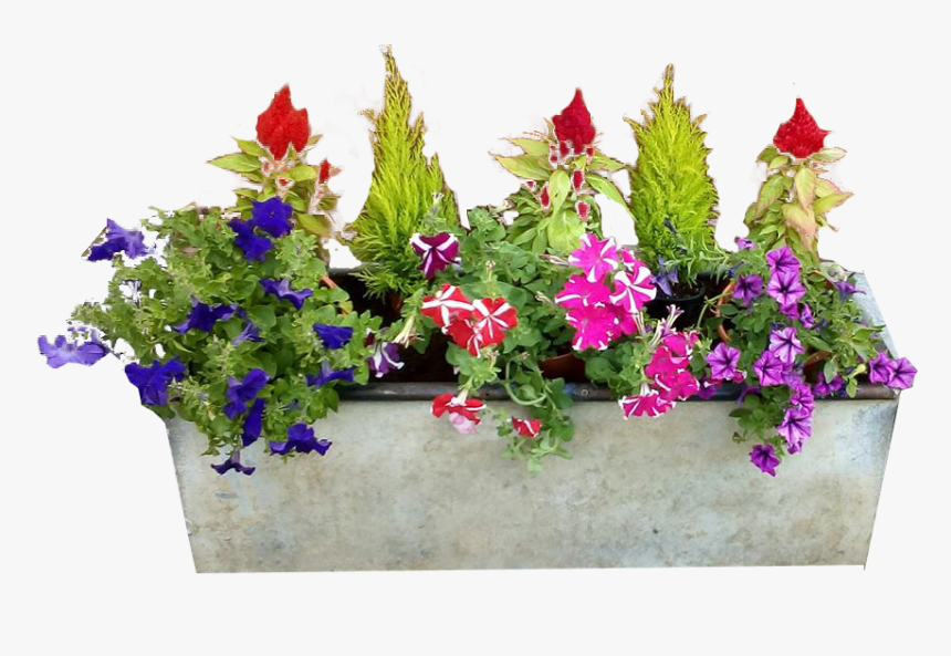 Concrete Planter Flowers - Window Flower Box Transparent, HD Png Download, Free Download