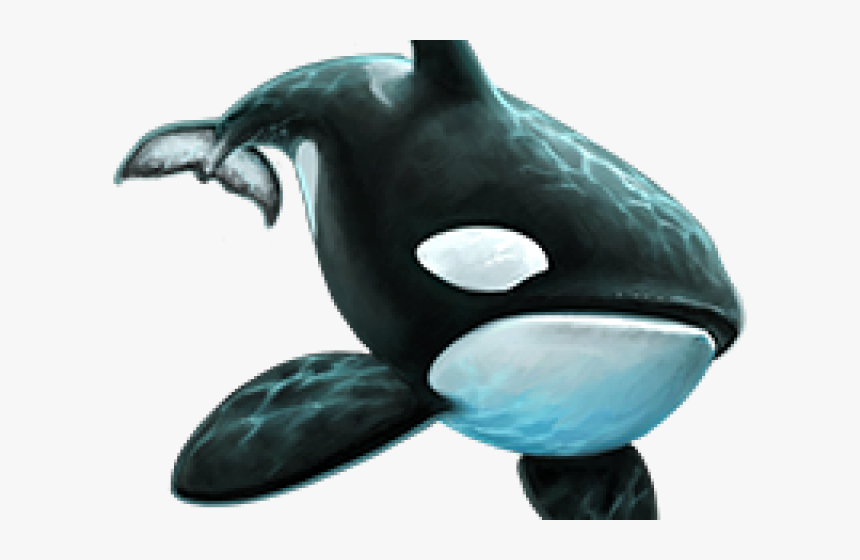 Killer Whale Png Transparent Images - Killer Whale Png, Png Download, Free Download