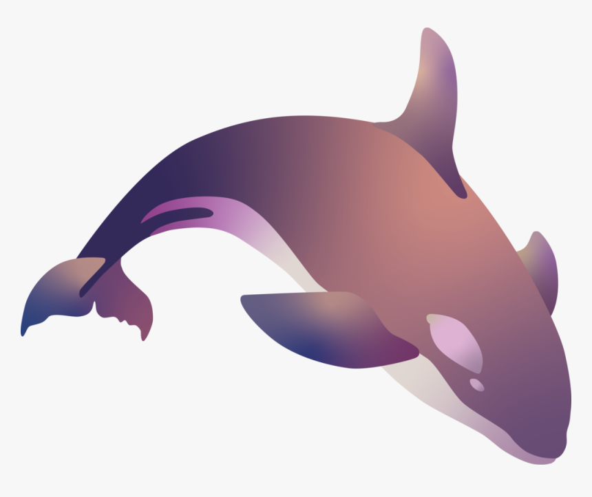 Killer Whale, HD Png Download, Free Download