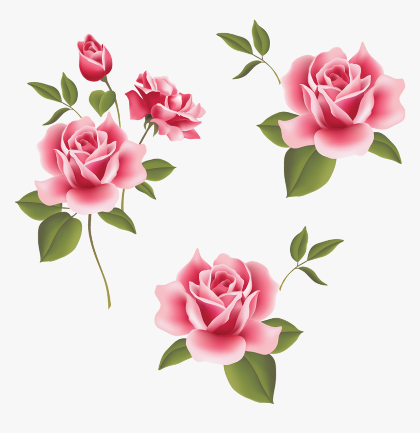 Garden Roses Beach Rose Pink Flower - Clip Art Borders Flowers Rose, HD Png Download, Free Download