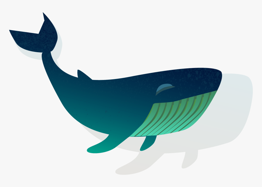 Blue Whale Clipart Shark - Whales, HD Png Download, Free Download