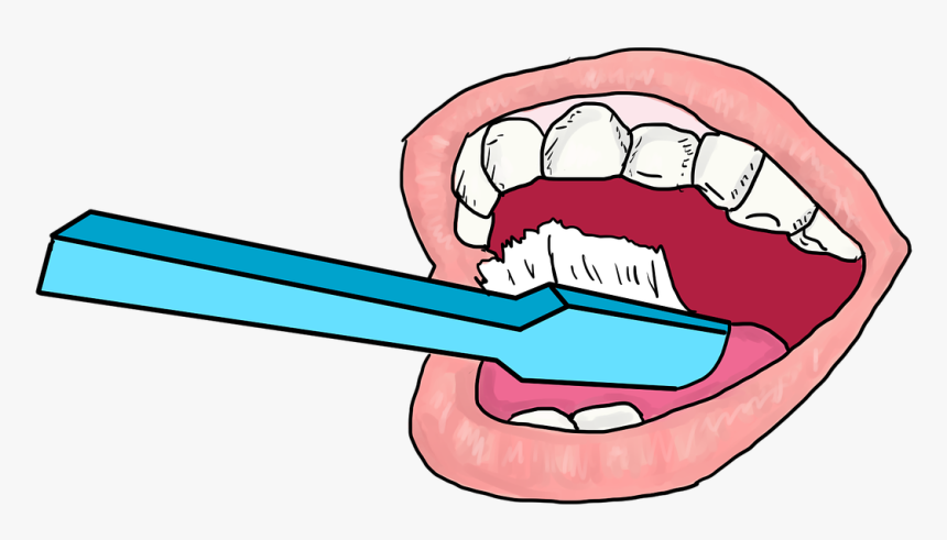 Brush Teeth Brushing Cleaning Dental Hygiene Transparent - Transparent Background Brush Teeth Clipart, HD Png Download, Free Download