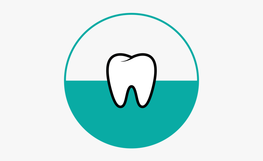 Root Canal, HD Png Download, Free Download