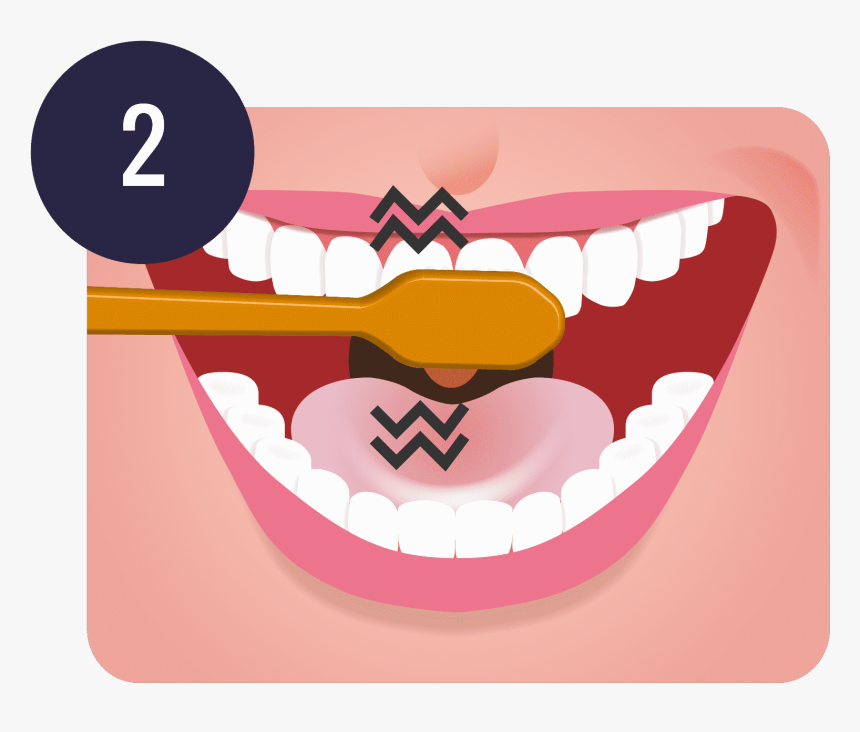 Tips On How To Properly Brush Your Teeth - Brush Teeth Png, Transparent Png, Free Download