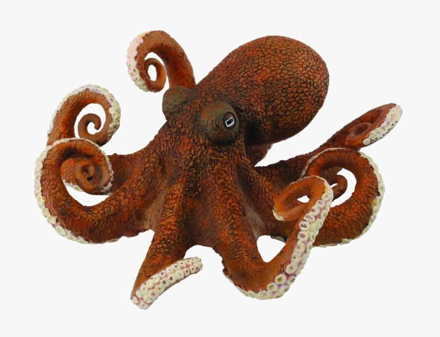 Octopus Toy Png Photos - Animales Acuaticos Pulpo, Transparent Png, Free Download