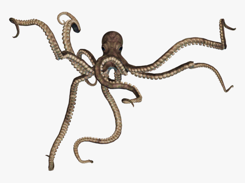 Giant Octopus Png , Png Download - Octopus Png, Transparent Png, Free Download