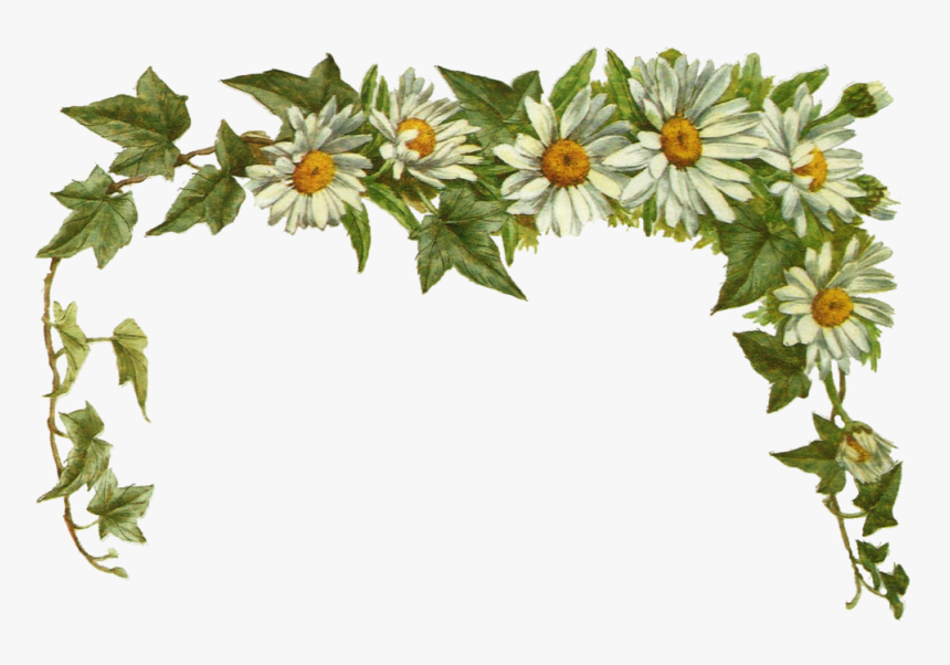 Jinifur Daisy Layer By Jinifur On Clipart Library - Transparent Background Vintage Daisy Png, Png Download, Free Download