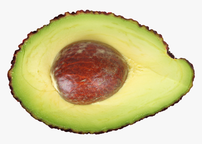 Avocado Png Image - Avocado Half Png, Transparent Png, Free Download