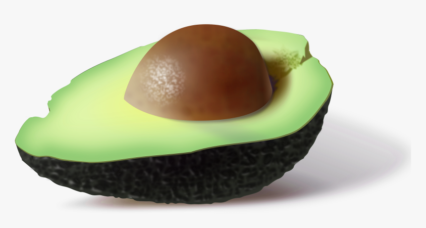 Avocado Png Image - 5 Fun Facts About Avocados, Transparent Png, Free Download