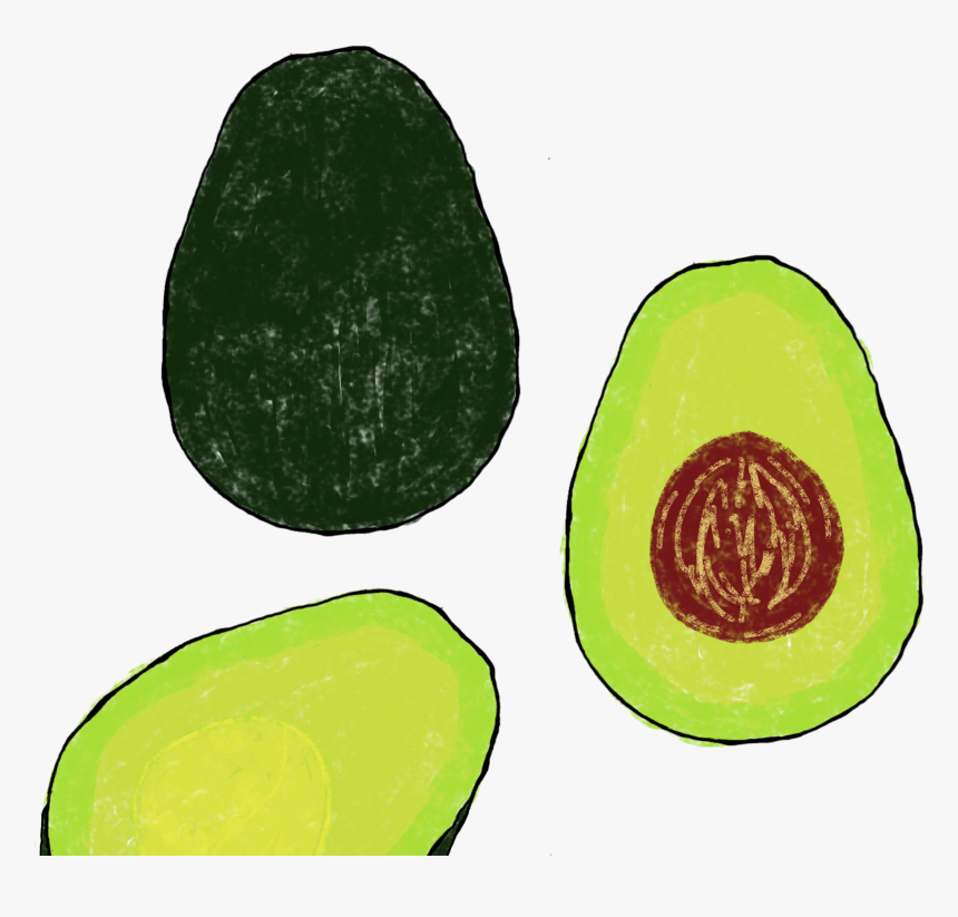 Avocado - Common Guava, HD Png Download, Free Download