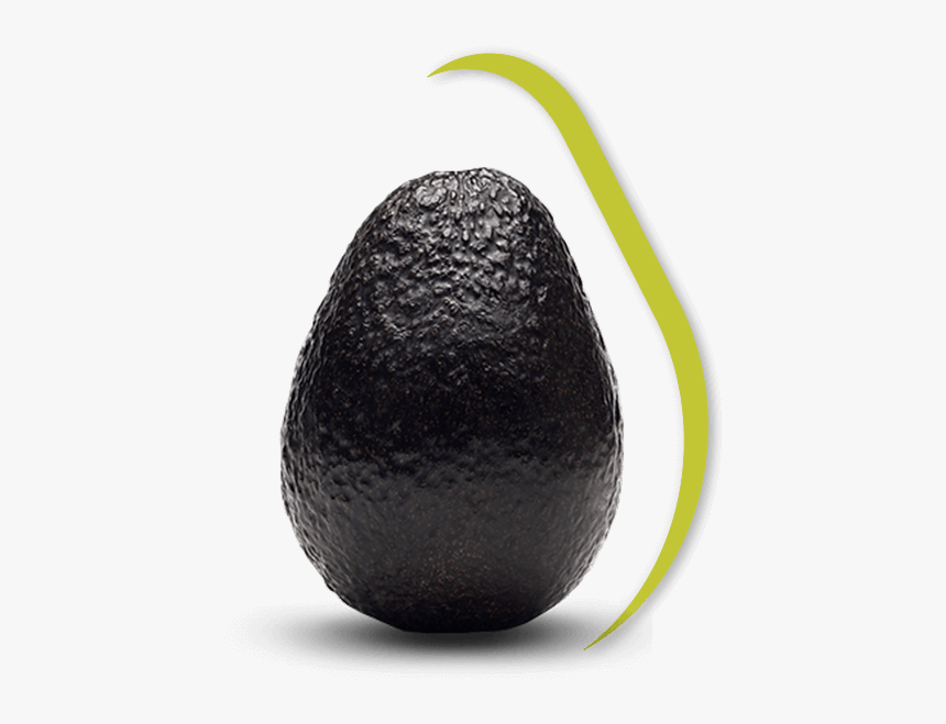 Black Avocado, HD Png Download, Free Download