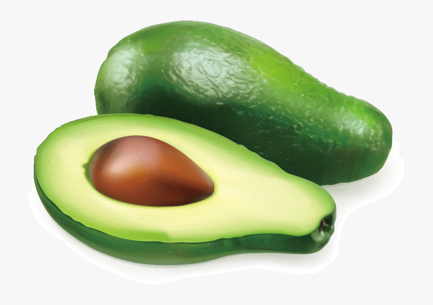 Avocado Auglis Illustration - Vegetables Single Images Png, Transparent Png, Free Download