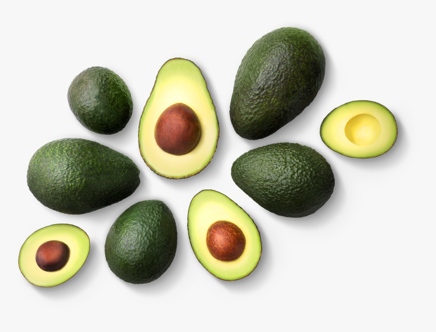 Avocado, HD Png Download, Free Download