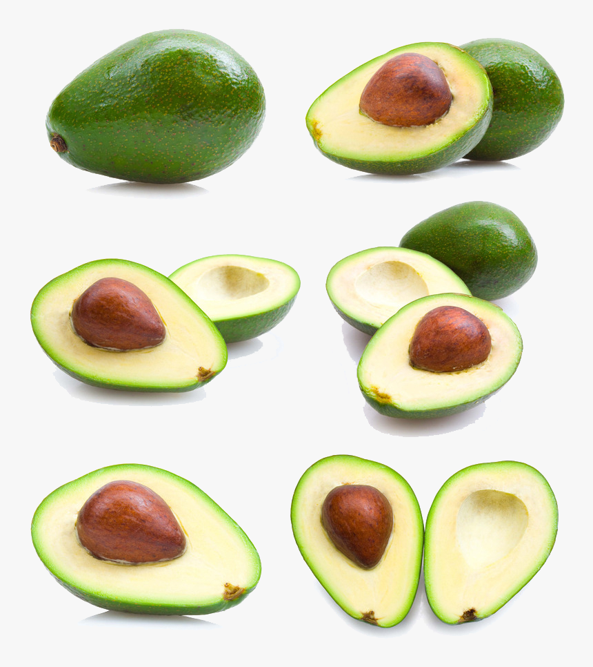 Avocado Fruit, HD Png Download, Free Download