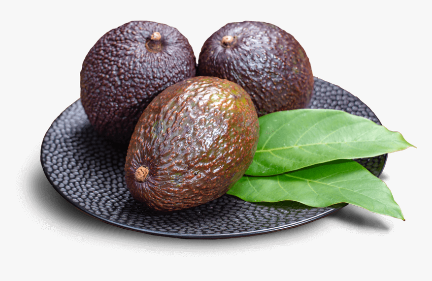 Ripe Avocados On A Plate - Avocado, HD Png Download, Free Download