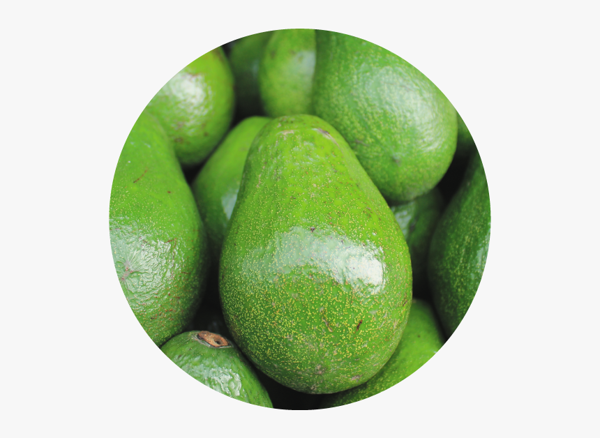 Green Avocados, HD Png Download, Free Download