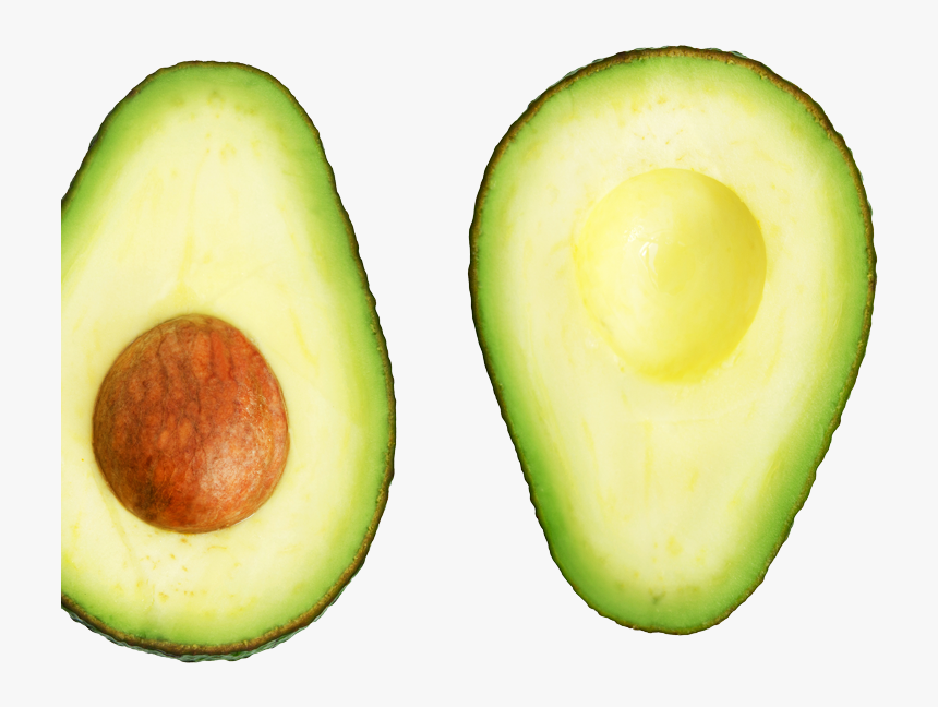 Avocado , Png Download - Avocado, Transparent Png, Free Download