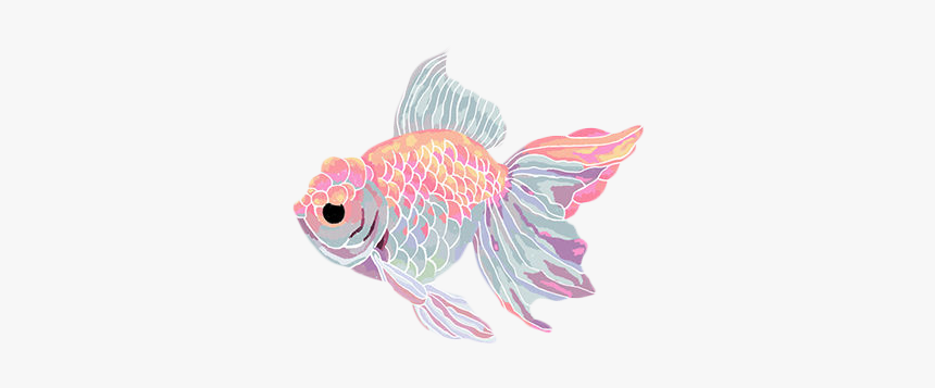 Transparent/sticker Blg
soft Grunge Blg - Fish Png, Png Download, Free Download