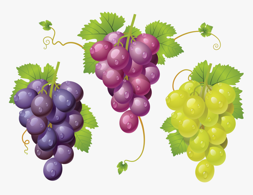 Grapes, HD Png Download, Free Download