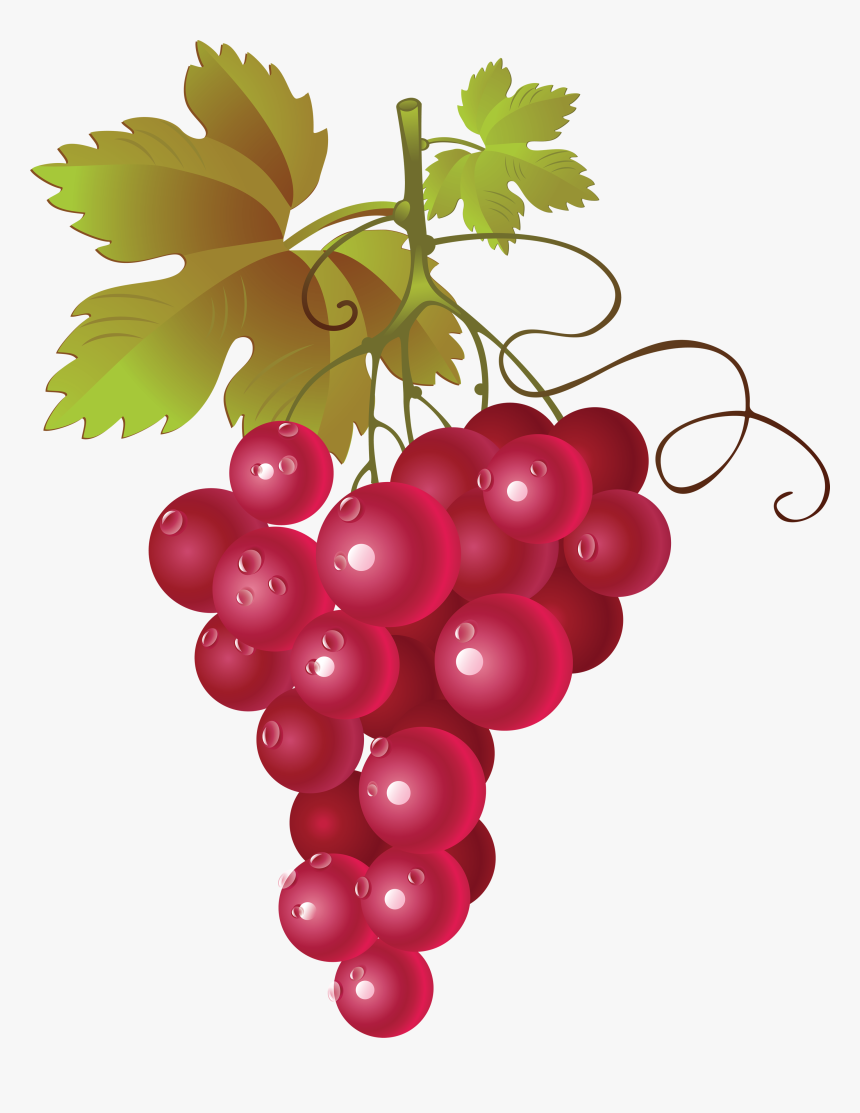 Grapes Image Png Clipart - Red Grapes Vector Png, Transparent Png, Free Download