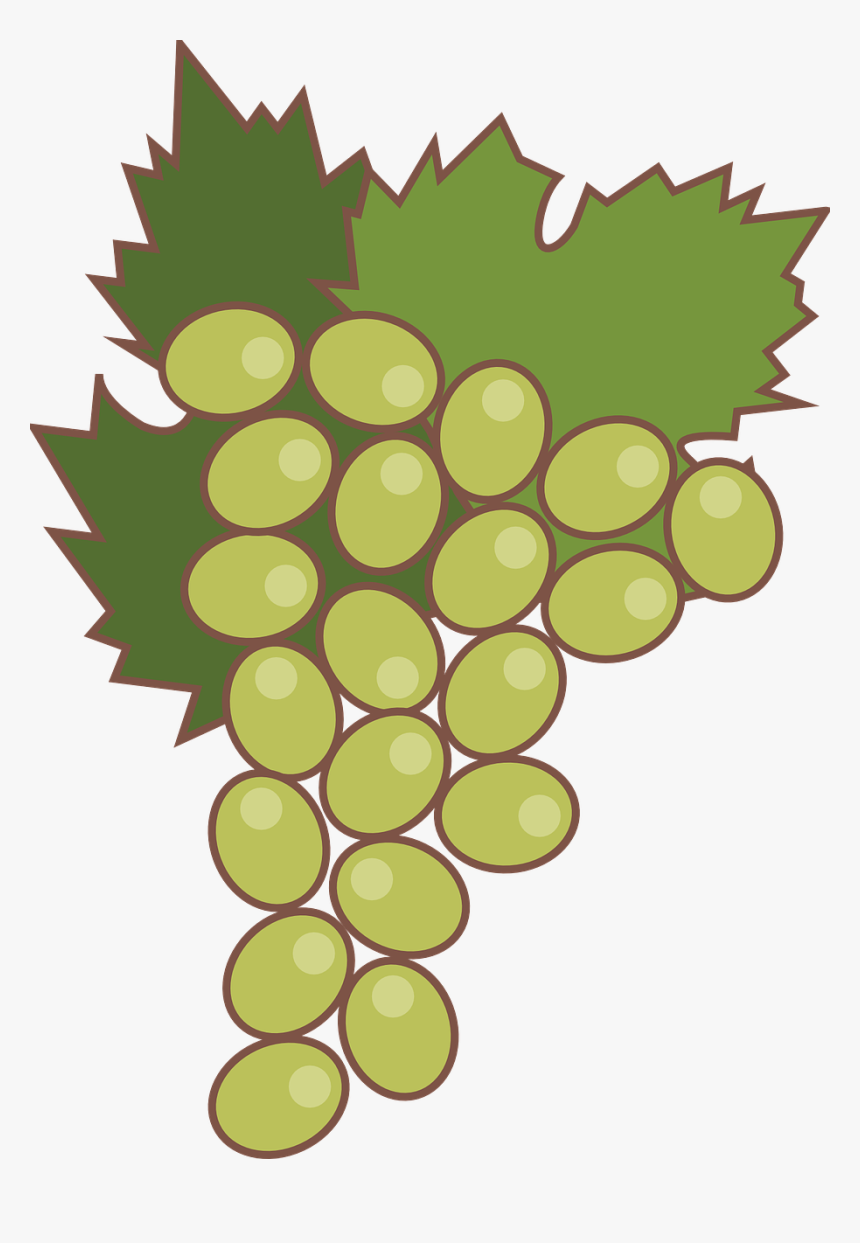 Traube Png, Transparent Png, Free Download