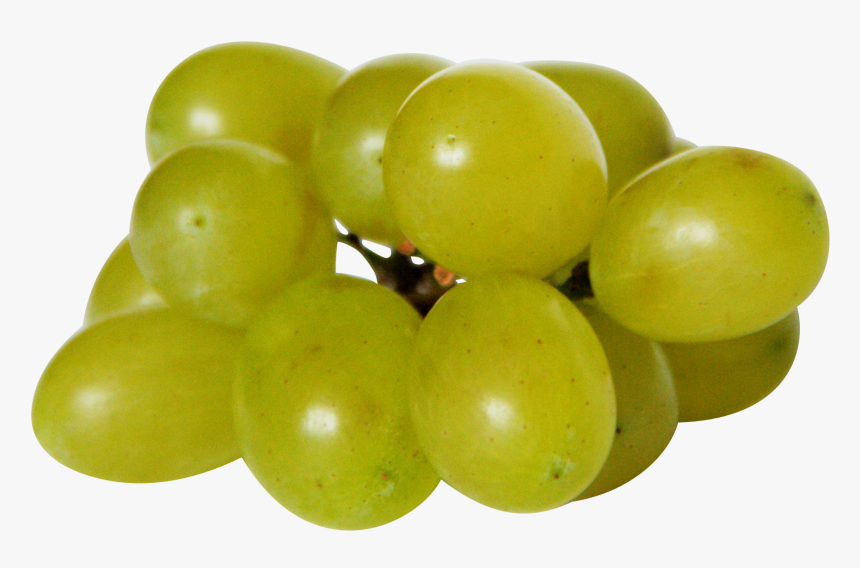 Transparent Grapes Png - Weintrauben Giftig Für Hunde, Png Download, Free Download