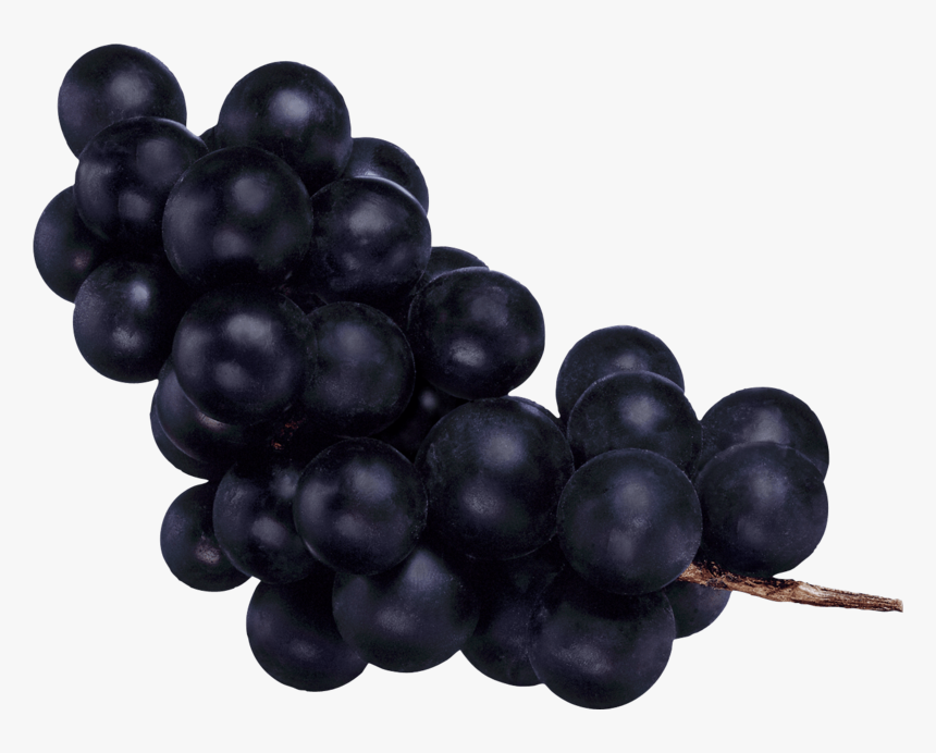 Black-grapes - Черный Виноград Png, Transparent Png, Free Download