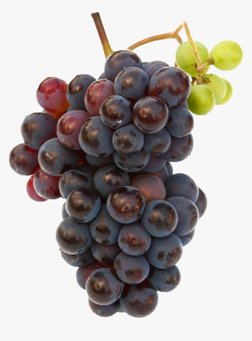 Black Grapes Png Free Commercial Use Image - Black Grapes Images Hd, Transparent Png, Free Download