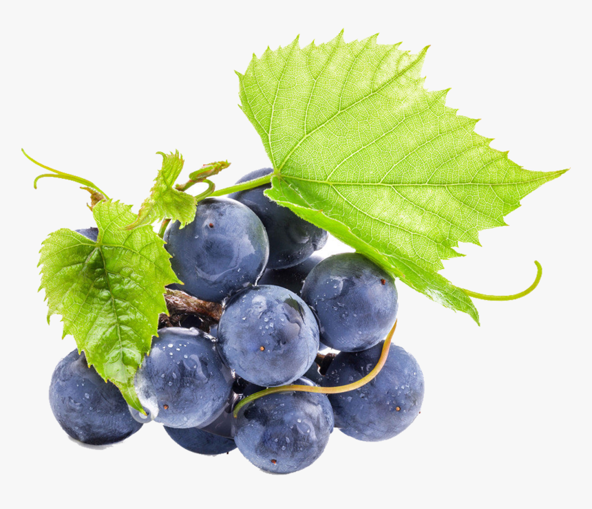 Grapeseed Png, Transparent Png, Free Download