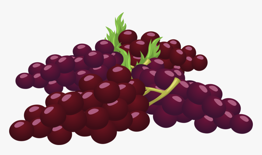 Seedless Fruit,grape Seed Extract,grape - Cluster Of Grapes Clipart, HD Png Download, Free Download