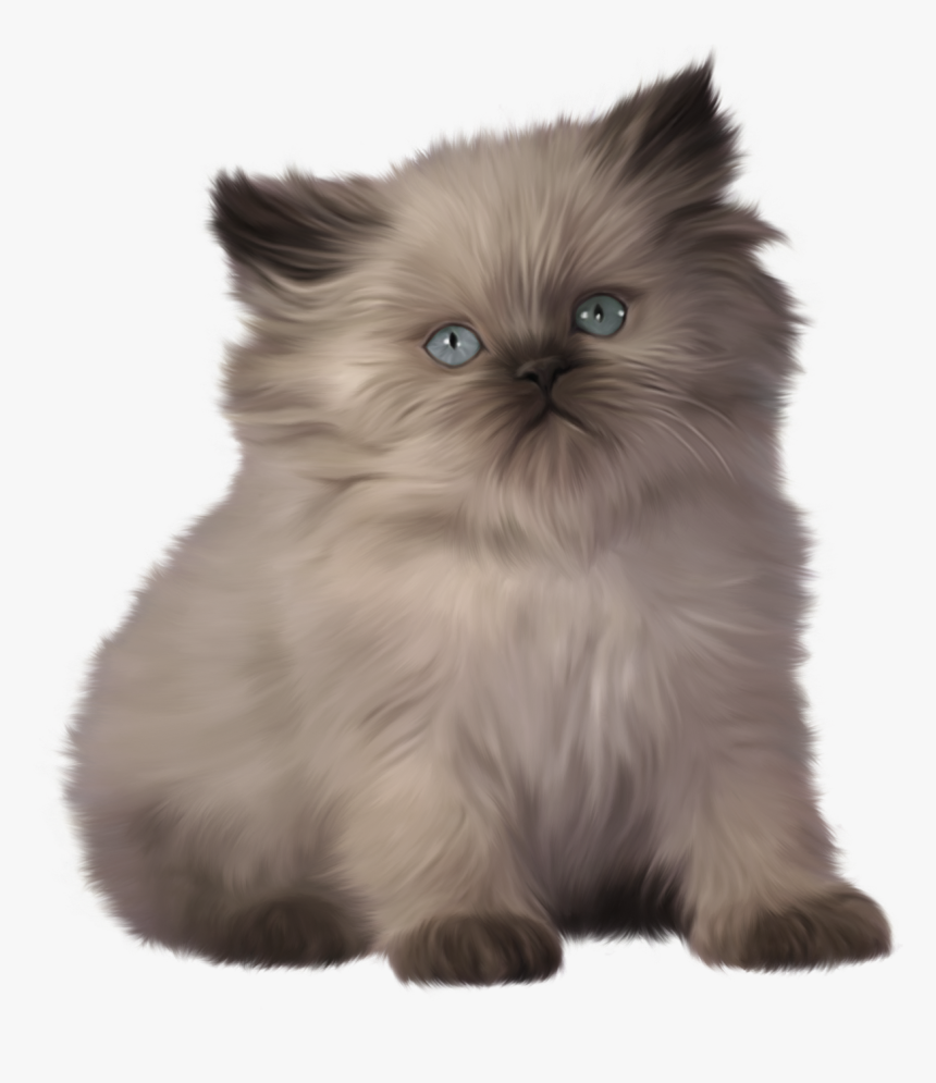 Kitten Png Clipart - Ragdoll Himalayan Persian Cat, Transparent Png, Free Download