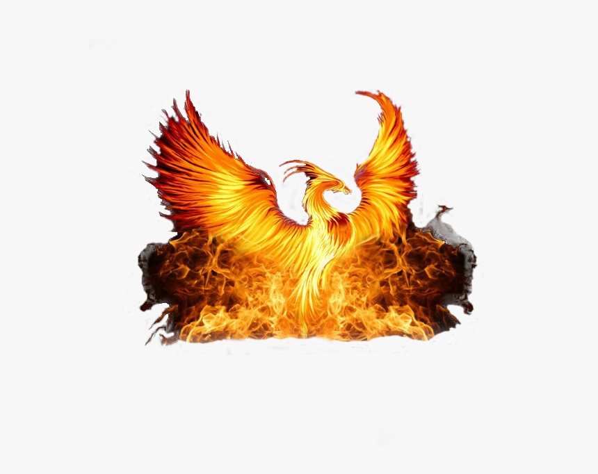 Phoenix Rising From The Fire, HD Png Download, Free Download
