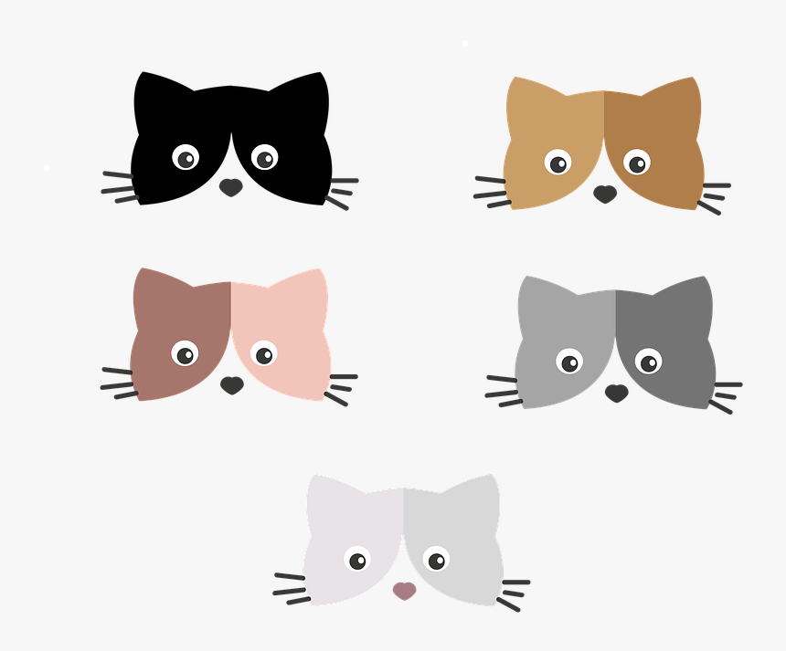 Cat, Kitten, Cute, Pet, Animal, Eyes, Domestic Cat - Kitten, HD Png Download, Free Download