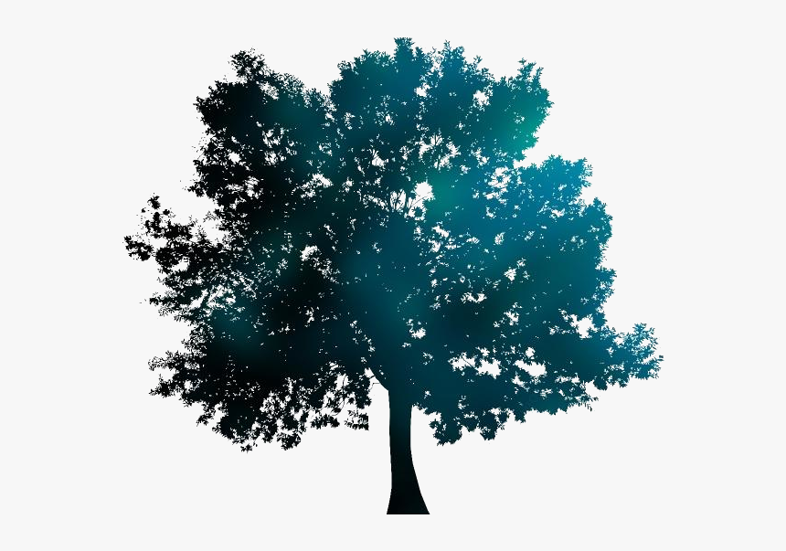 Oak Tree Png Free Download - Transparent Background Tree Silhouette Png, Png Download, Free Download