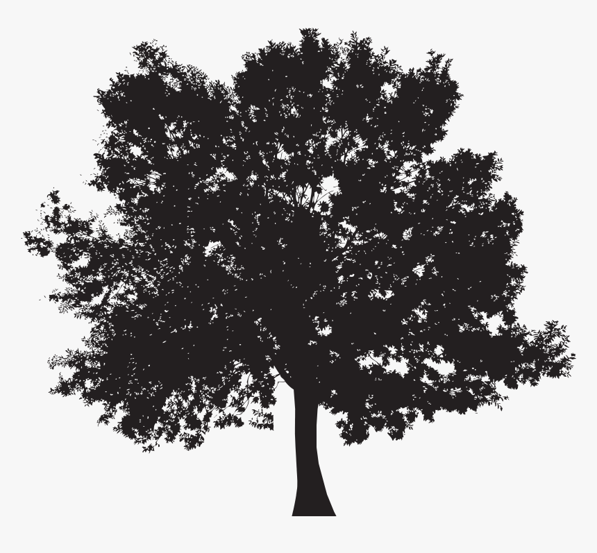 Silhouette Tree Clip Art, HD Png Download, Free Download