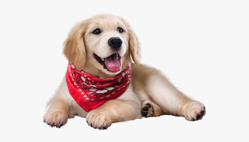 Dog Bandana Png, Transparent Png, Free Download