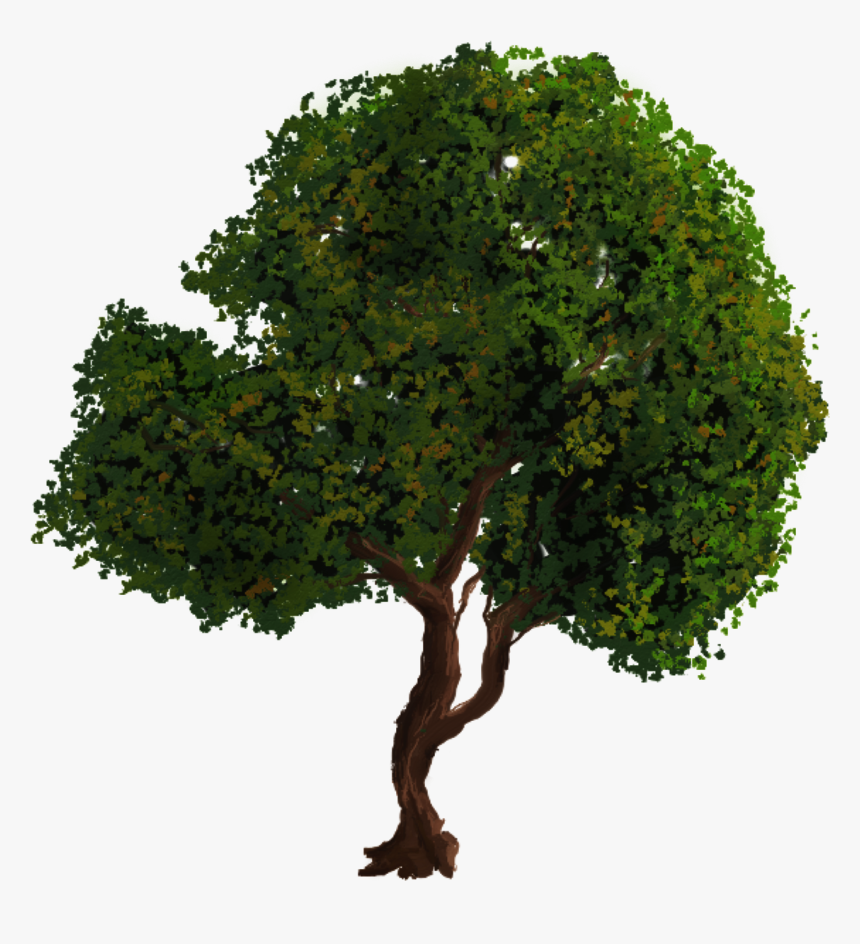 Tree Png - Tree Gimp, Transparent Png, Free Download