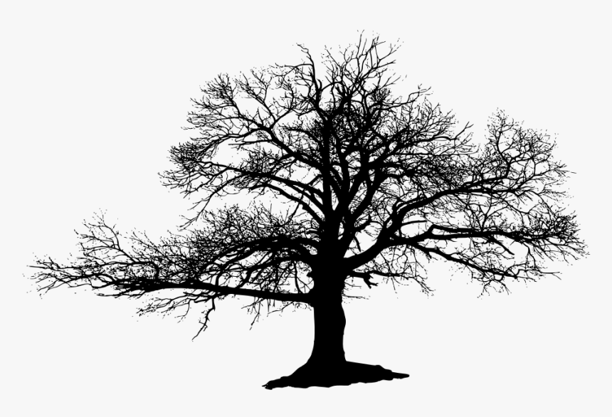 The Lonely Tree Oak Silhouette - Black And White Lonely Tree, HD Png Download, Free Download