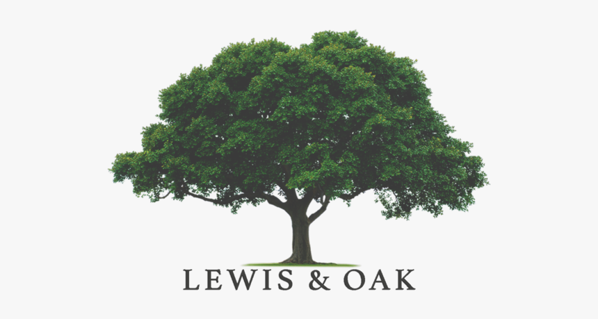 Oak Tree Png, Transparent Png, Free Download