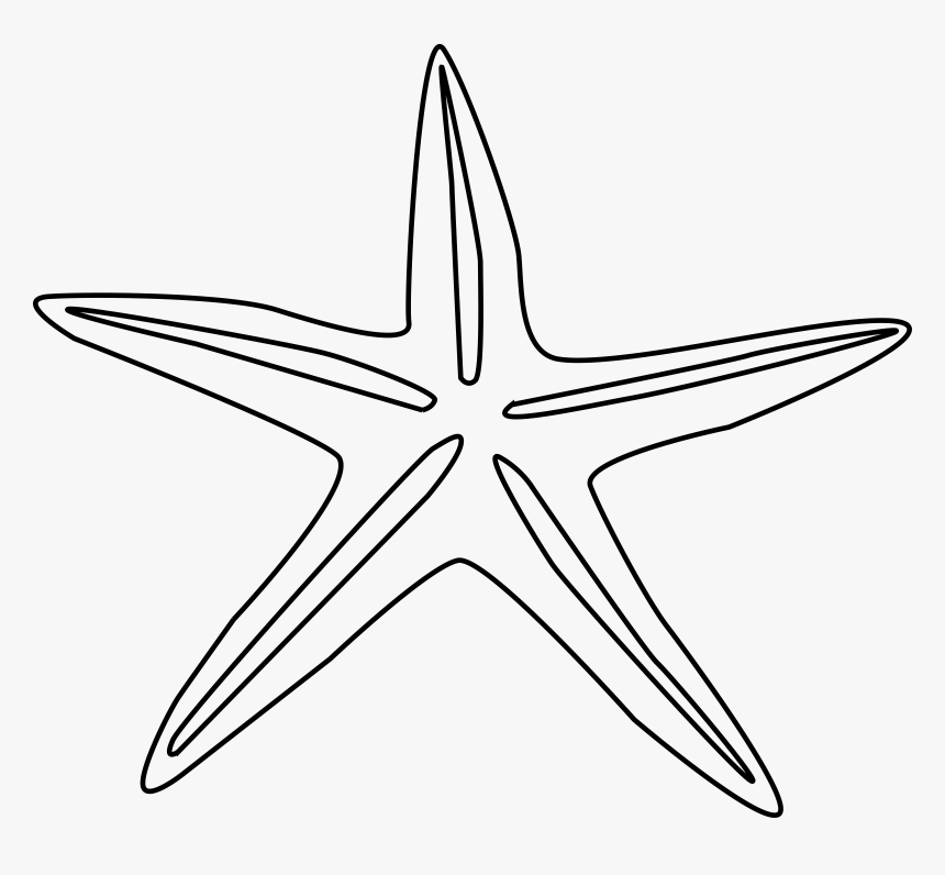 Starfish Clipart Outline Black And White Collection - Star Shaped Objects Black And White, HD Png Download, Free Download