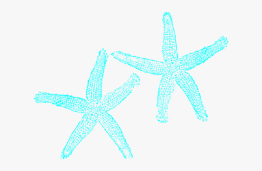 Turquoise Clipart Starfish - Teal Starfish, HD Png Download, Free Download