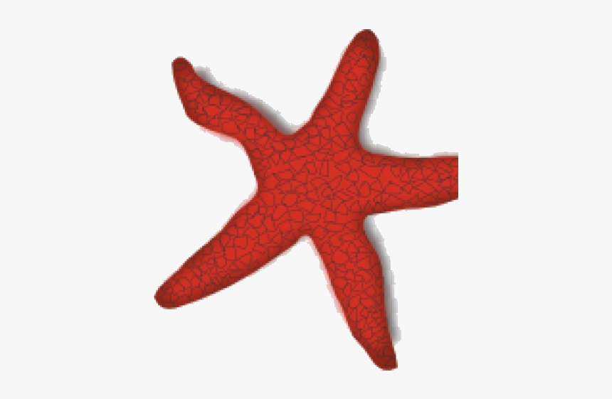 Starfish Clipart Hidupan Laut Clip Art Transparent - Starfish Clip Art, HD Png Download, Free Download
