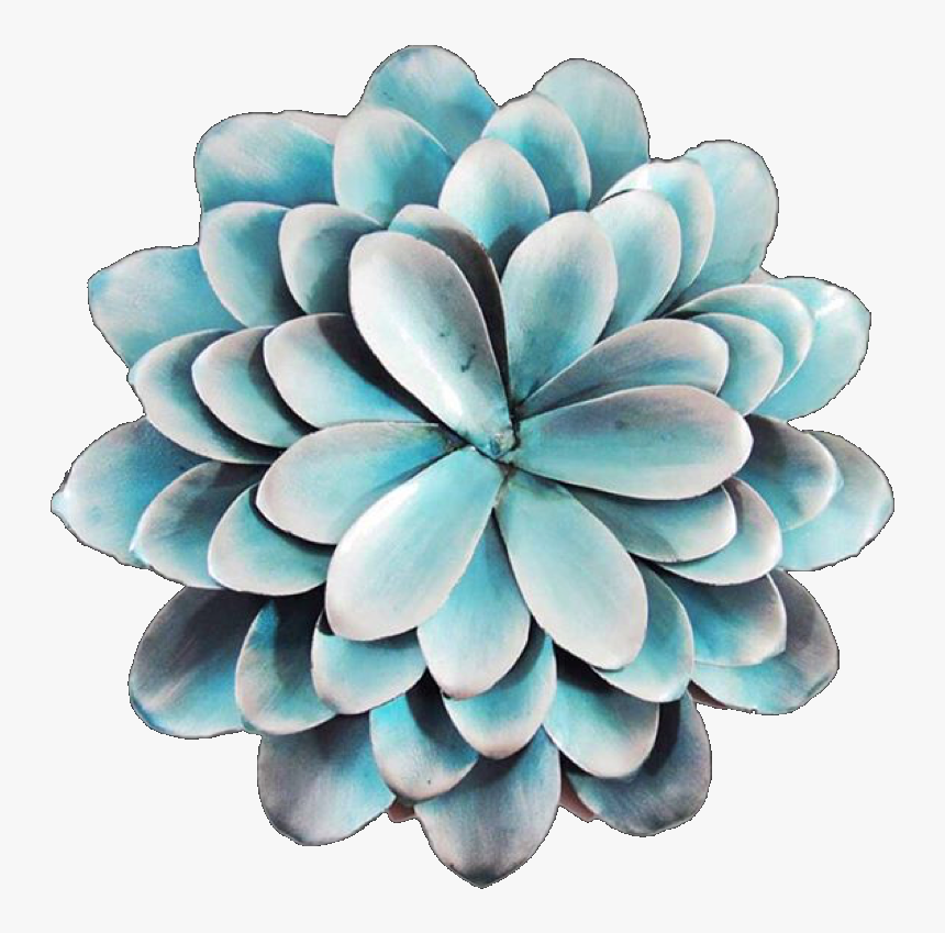 Succulents Png, Transparent Png, Free Download