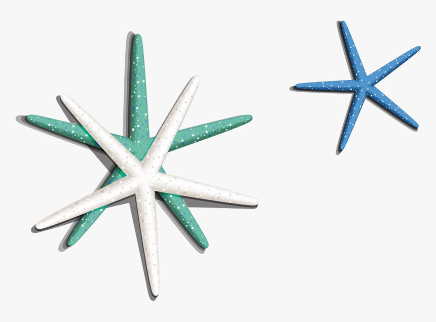 Transparent Sea Star Png - Starfish, Png Download, Free Download