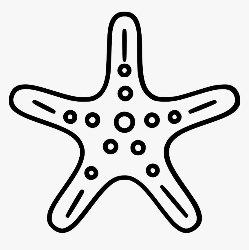 Starfish - Line Art, HD Png Download, Free Download